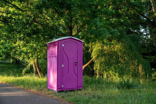 Best Sanitation services for porta potties  in Delavan, WI